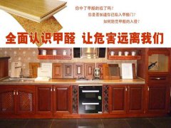 甲醛室內頭號隱形殺手再引關注 櫥柜甲醛知多少？【佛山除甲醛公司】