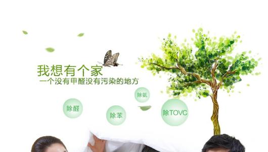 效果好、專業(yè)的光觸媒除甲醛產(chǎn)品有那些？